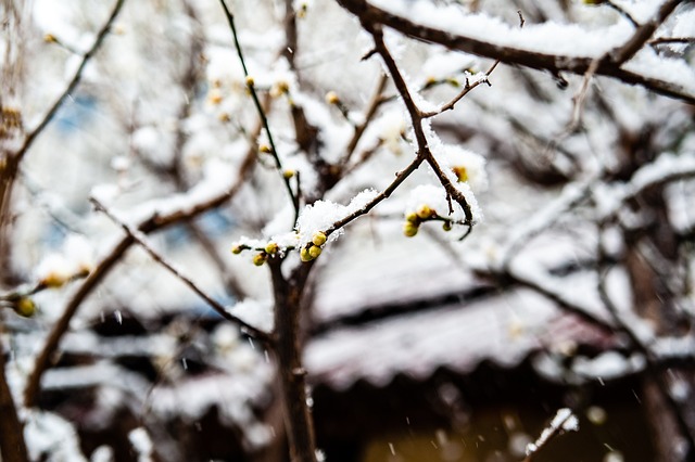 水晶宫的挑