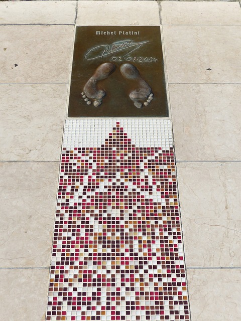 未来展望